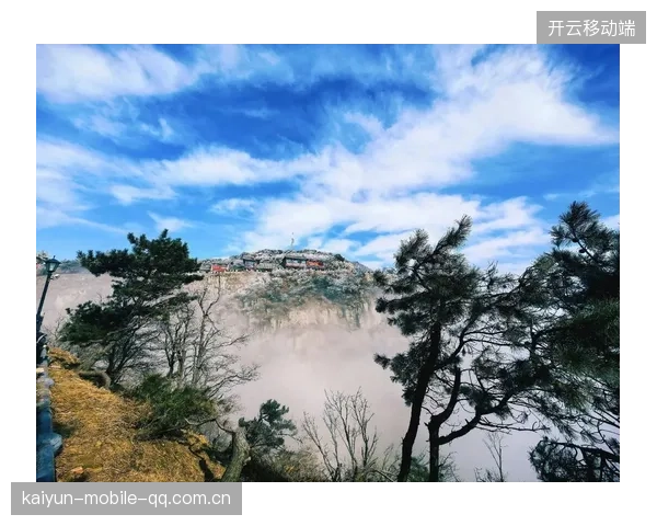 山东泰山通过对位换防创造了新的突破点